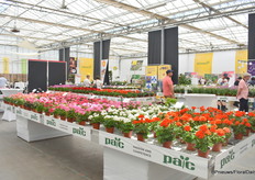 Presentatie van Elsner Pac.